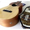 Professional Electroacoustic Venezuelan Cuatro + Soft Sase + Strings 