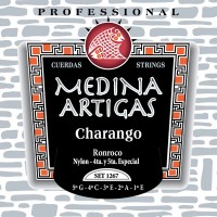 Ronroco Strings - Medina Artigas 1267