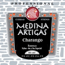 Ronroco Strings - Medina Artigas 1267