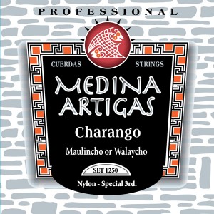 Hualaycho Strings - Medina Artigas 
