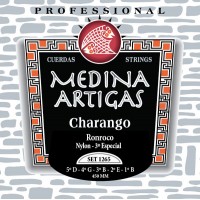 Ronroco Strings - Medina Artigas 1265