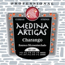 Ronroco Strings - Medina Artigas 1260