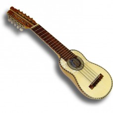 Beginners Charango