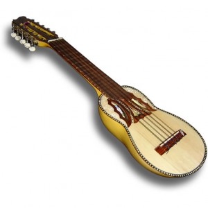 Beginners Charango