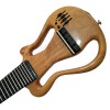 Electric Charango