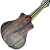 Electric Charango