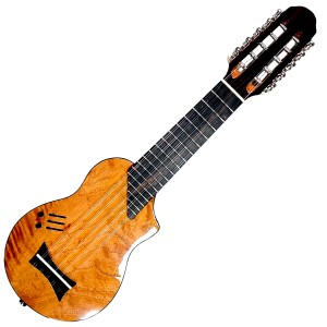 Electric Charango