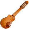 Electric Charango