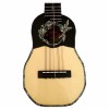 Professional Charango "Hummingbird" 