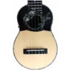 Professional Charango "Hummingbird" 