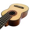 Professional Laminated Charango - Anzaldeño