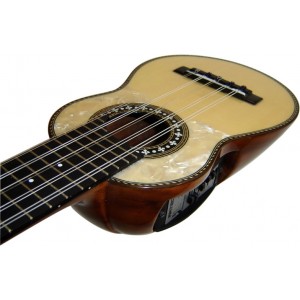 Professional  Electroacoustic Charango - ARTEC ETN-4