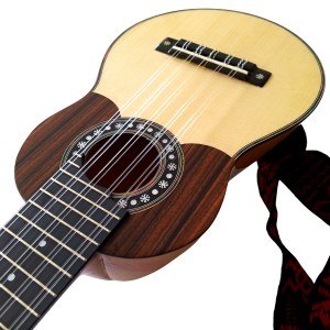 Professional Charango