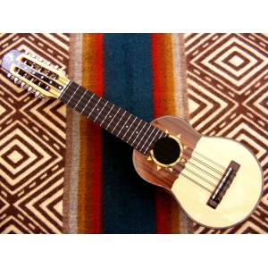 Professional Charango - SUN