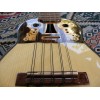 Professional Electroacoustic Charango with B-Band T35