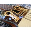 Professional Electroacoustic Charango with B-Band T35