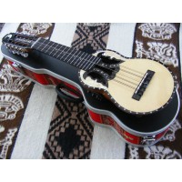 Professional  Electroacoustic Charango - BBAND T65 with Hard Case