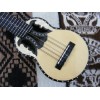 Professional  Electroacoustic Charango - BBAND T65 with Hard Case