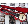 Professional  Electroacoustic Charango - BBAND T65 with Hard Case