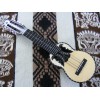 Professional  Electroacoustic Charango - BBAND T65 with Hard Case