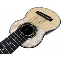 Professional Charango - "Special Series"  