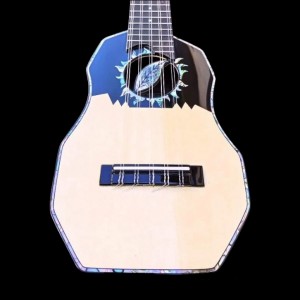 Professional Charango "Coca Leafe"