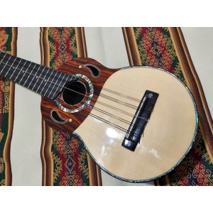 Professional Charango