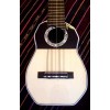 Professional Charango 