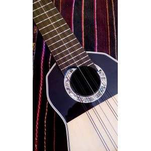 Professional Charango 