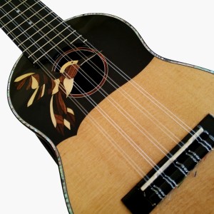 Charango Profesional - QUENTE