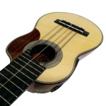 Professional Charango + Semi Hard Case