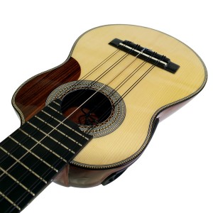 Professional Charango + Semi Hard Case