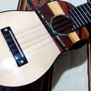 Professional Charango 