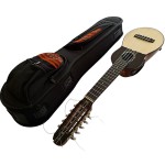 Professional  Electroacoustic Charango - ARTEC ETN-4 + Semi Hard Case