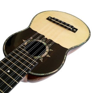 Professional Charango